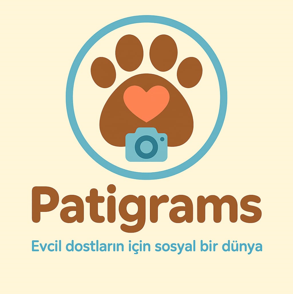 adsız.pngp